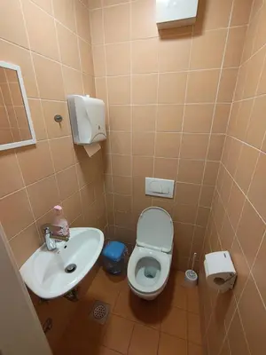 a bathroom with a toilet and a sink at Prenočišča Center Mir In Dobro in Solkan