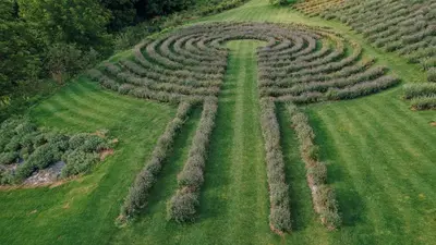 anustration of a maze of crops in a field at Štajerska sivka - Jacuzzi & Savna in Maribor