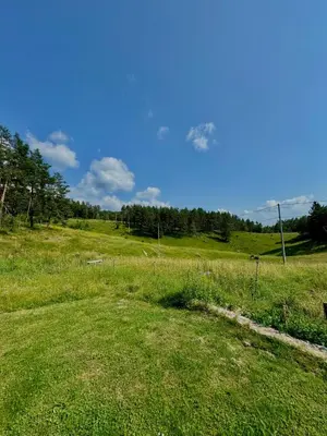 a field of grass with trees on a hill at Apilandia Nanos in Vipava