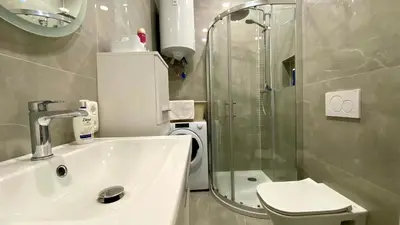 a bathroom with a shower and a sink and a toilet at Little Plaza Duplex in Ljubljana