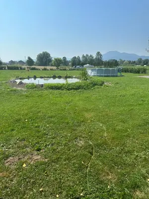 a field of grass with a pond in the background at Močvirski Tulipan in Ljubljana