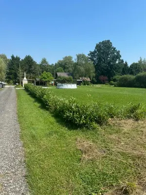 a row of plants in a field next to a road at Močvirski Tulipan in Ljubljana
