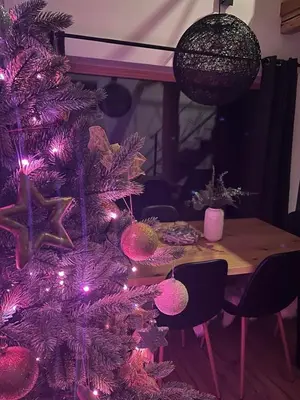 a purple christmas tree with lights next to a table at Riverside House Krka in Zagradec