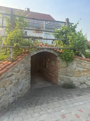 an archway in a brick wall with plants at Hiška pri brajdah in Videm pri Ptuju