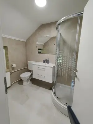 a bathroom with a shower and a sink and a toilet at Hiša Oder in Woditz