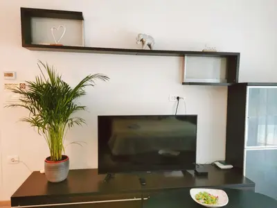 a living room with a tv and a table with a plant at Dream home apartment in Koper