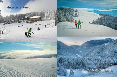a collage of photos of people skiing on a ski slope at Villa Elizabeth - Family Apartment for 6 in Slovenj Gradec
