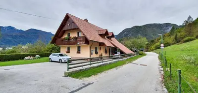 a house with a car parked on the side of a road at Apartmaji BOHINJ in Bohinj