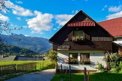 a wooden house with flowers in the window at Apartmaji BOHINJ in Bohinj