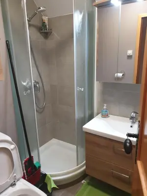 a bathroom with a shower and a toilet and a sink at Marjetica20 in Moravske Toplice