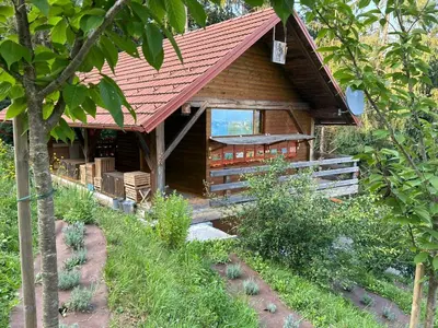 a log cabin with a red roof at The BeeHouse, Nature stay in Šempeter v Savinjski Dolini