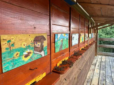 a row of potted plants on a wooden wall at The BeeHouse, Nature stay in Šempeter v Savinjski Dolini