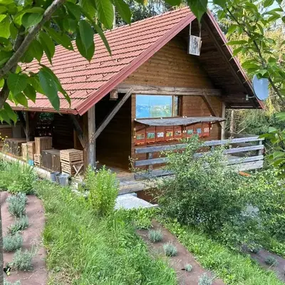 The BeeHouse