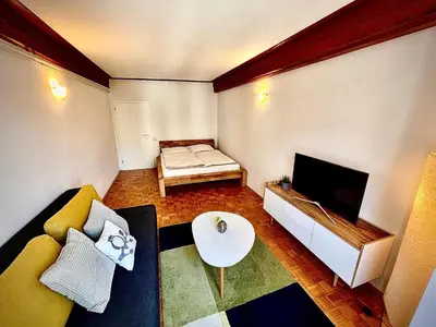 a living room with a couch and a tv at Ljubljana Center Apartments in Ljubljana