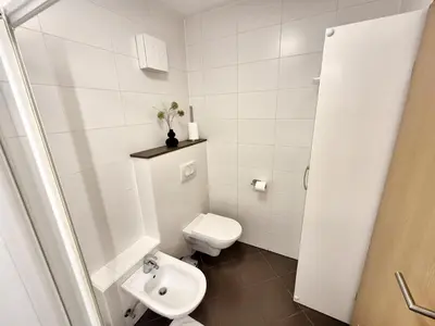 a white bathroom with a toilet and a sink at Apartmaji PANONIA 
