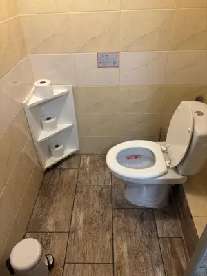 a bathroom with a white toilet and a wooden floor at Studio Lipa in Maribor