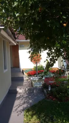 a garden with flowers in pots on the side of a building at Studio Lipa in Maribor