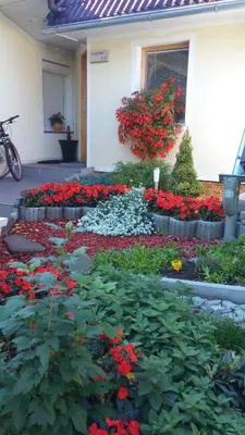 a garden of flowers in front of a house at Studio Lipa in Maribor
