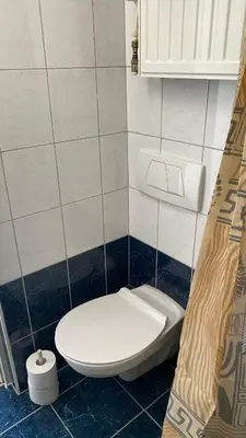 a bathroom with a toilet and a shower curtain at Semper Liberi in Maribor