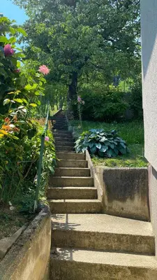 a set of stairs with a tree and flowers at Semper Liberi in Maribor