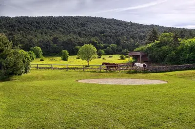 a green field with a fence and a horse in it at Villa Noiram - Your dream Getaway in Nature in Senožeče