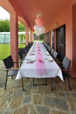 a long long table with chairs and balloons on it at Villa Noiram - Your dream Getaway in Nature in Senožeče