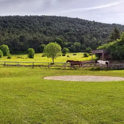 Villa Noiram - Your dream Getaway in Nature