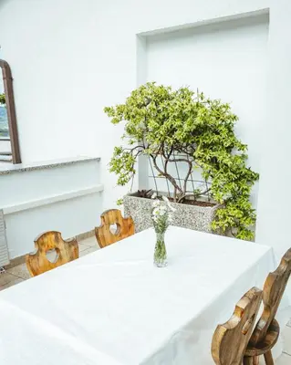 a table with a vase on top of it at Apartma Frigidum in Vipava