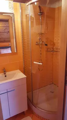 a bathroom with a shower and a sink at Rooms with shared kitchen Zver, great for hikers in Hudajužna