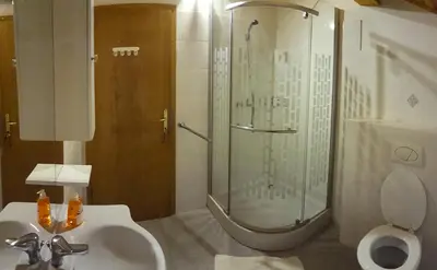 a bathroom with a shower and a sink and a toilet at Rooms with shared kitchen Zver, great for hikers in Hudajužna