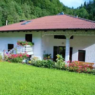 Rooms with shared kitchen Zver