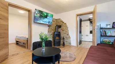 a living room with a couch and a fireplace at Vista Larix Chalet in Ljubno