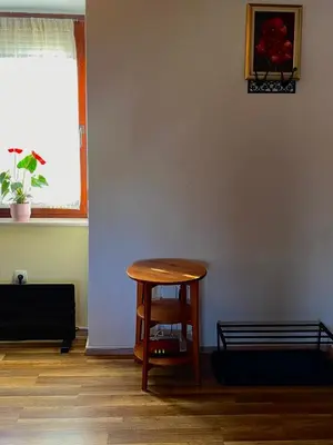 a room with a wooden table and a window at Apartma Gasa in Brežice