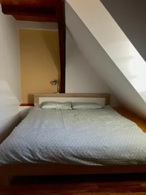 a bedroom with a bed in a attic at Apartma Gasa in Brežice