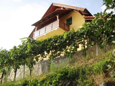 a house on top of a hill with vines at Holiday home in Otocec - Kranjska (Krain) 26040 in Otočec