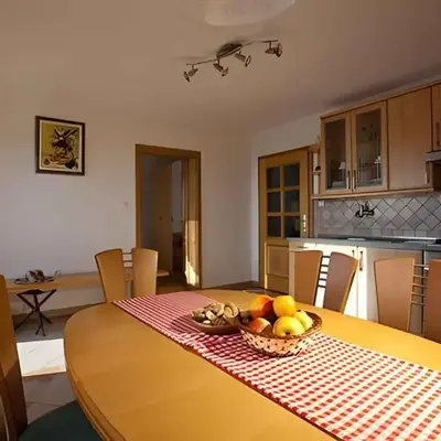 Holiday home in Otocec - Kranjska (Krain) 26040