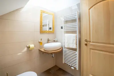 a bathroom with a white sink and a mirror at Aparthotel Hom at Vintgar in Zgornje Gorje