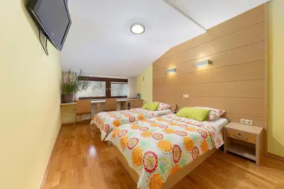 a bedroom with a bed and a television in it at Gostilna Lipan in Gorenja Vas