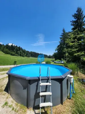 a ladder sitting on top of a pool with a ladder at WoodHouseDream Jakuzzi in Nazarje
