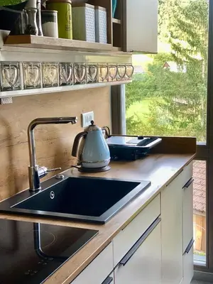 a kitchen with a sink with a tea kettle on it at Lux in Bohinj in Bohinj