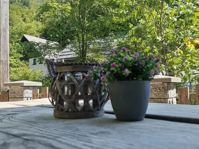 a planter with purple flowers sitting on a table at Apartma Bohinj in Bohinj