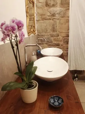a bathroom with a sink and a potted plant at Silentium Domus doo in Gornje Vreme