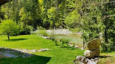 a rock sitting in the grass next to a river at Pr Trnovc in Preddvor