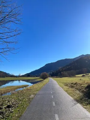 a road next to a field and a river at Sunrise Apartment in Rateče