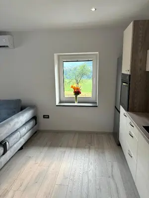 a kitchen with a vase of flowers in a window at Livan Apartment in Tolmin