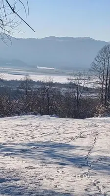 a snow covered field with trees in the distance at Bobnarica in Grahovo