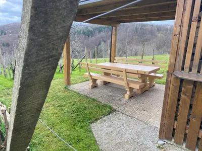 a wooden bench sitting under a pavilion in a field at Vineyard Cottage Rigelj in Dolenjske Toplice