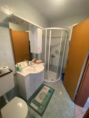 a bathroom with a shower and a sink and a toilet at Vineyard Cottage Rigelj in Dolenjske Toplice