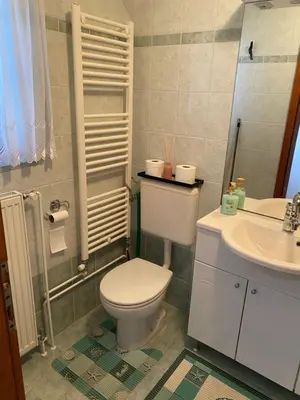 a bathroom with a toilet and a sink at Vineyard Cottage Rigelj in Dolenjske Toplice