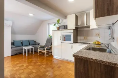 a kitchen and living room with a couch at Apartments Leonid in Podčetrtek